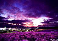 �ձ������������еĵ����Ļ���